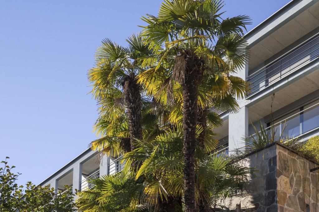 La Barca Blu Hotel Muralto Exterior photo